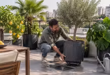 Plante exotice în containere mobile pentru terase și grădini ușor de întreținut Plante exotice în containere mobile pentru terase și grădini ușor de întreținut